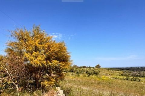 Helårsgrund i Carovigno, Brindisi, Carovigno - € 150.000 | Ref: tem6 - foto 5