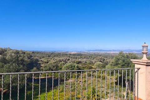 Villa i Son Gual, Mallorca, Son Gual - € 1.650.000 | Ref: IB2026-SG01 - foto 13