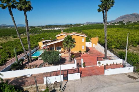 Finca i Orihuela, Alicante, Orihuela - € 675.000 | Ref: MLS13924Z - foto 3