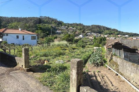 Helårsgrund i Ganfei, Viana do Castelo, Ganfei - € 30.000 | Ref: 02369 - foto 2