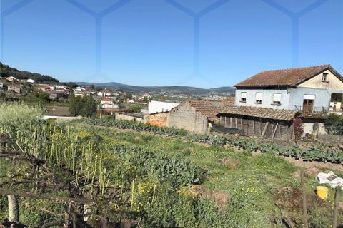 Helårsgrund i Ganfei, Viana do Castelo, Ganfei - € 30.000 | Ref: 02369 - foto 3