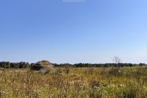 Tomt i Carovigno, Brindisi, Carovigno - € 65 000 | Ref: TEM4 - foto 14
