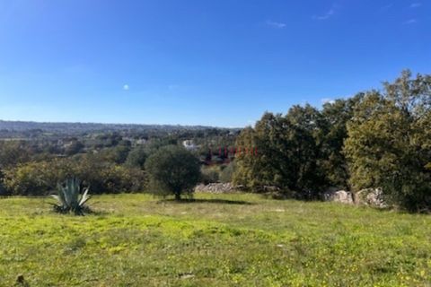 Landejendom i Ostuni, Brindisi, Ostuni - € 49.000 | Ref: 367 - foto 9
