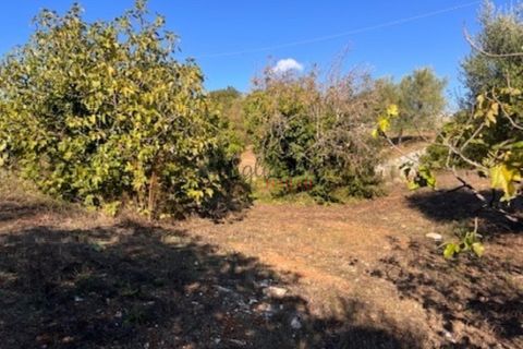 Landejendom i Ostuni, Brindisi, Ostuni - € 49.000 | Ref: 367 - foto 13