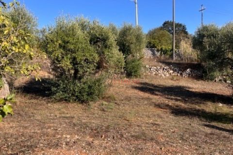 Landejendom i Ostuni, Brindisi, Ostuni - € 49.000 | Ref: 367 - foto 14