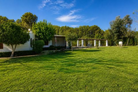 Landejendom i Calvia, Mallorca, Calvia - € 1.350.000 | Ref: Finca_CV/14073 - foto 8