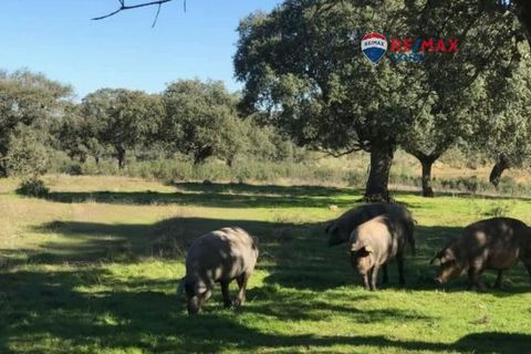 Grundstück in Badajoz, Badajoz - Foto 1