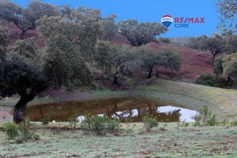 Terra a Badajoz, Badajoz, Badajoz - € 4.990.000 | Ref: BA-2026-011/12527 - foto 6