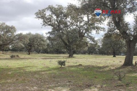 Terra a Badajoz, Badajoz, Badajoz - € 4.990.000 | Ref: BA-2026-011/12527 - foto 7