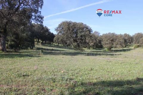 Terra a Badajoz, Badajoz, Badajoz - € 4.990.000 | Ref: BA-2026-011/12527 - foto 9