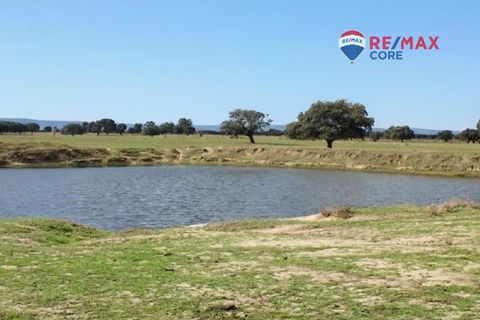 Terra a Badajoz, Badajoz, Badajoz - € 4.990.000 | Ref: BA-2026-011/12527 - foto 10