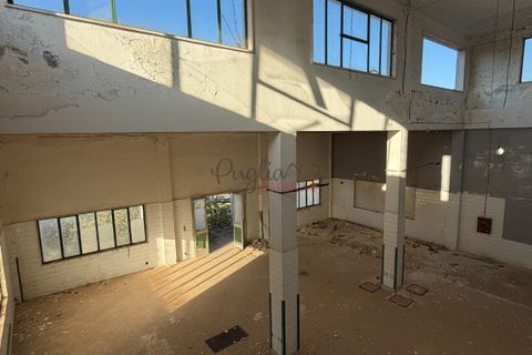 Landejendom i Cisternino, Brindisi, Cisternino - € 600.000 | Ref: 368 - foto 24