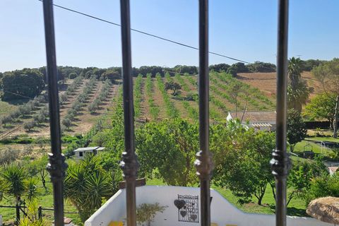 Landejendom i Archidona, Malaga, Archidona - € 480.000 | Ref: B&B Salinas - foto 31