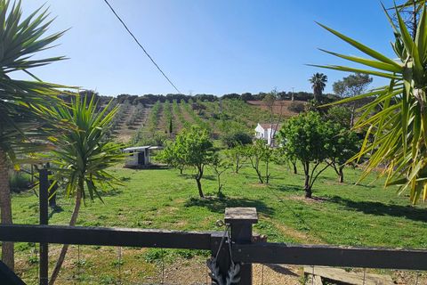 Landejendom i Archidona, Malaga, Archidona - € 480.000 | Ref: B&B Salinas - foto 50