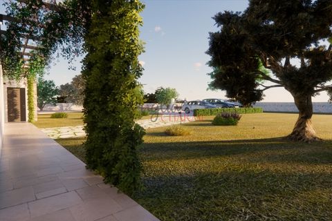 Farm hus i Ostuni, Brindisi, Ostuni - € 75.000 | Ref: 369 - foto 17