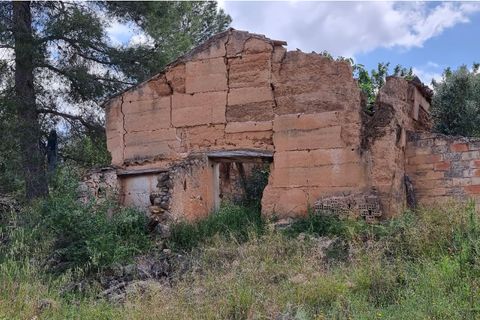 Finca i Tivissa, Tarragona, Tivissa - € 165.000 | Ref: Tml - foto 8