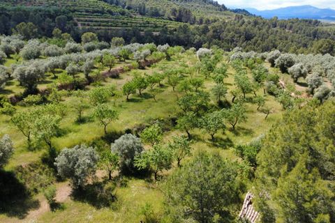 Finca i Tivissa, Tarragona, Tivissa - € 165.000 | Ref: Tml - foto 37