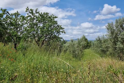 Finca i Tivissa, Tarragona, Tivissa - € 165.000 | Ref: Tml - foto 28