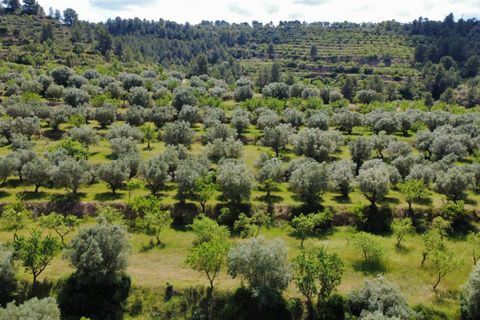 Finca i Tivissa, Tarragona, Tivissa - € 165.000 | Ref: Tml - foto 30