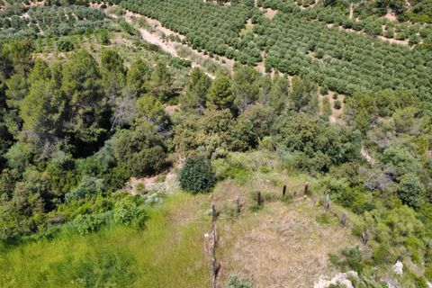Finca i Tivissa, Tarragona, Tivissa - € 165.000 | Ref: Tml - foto 27
