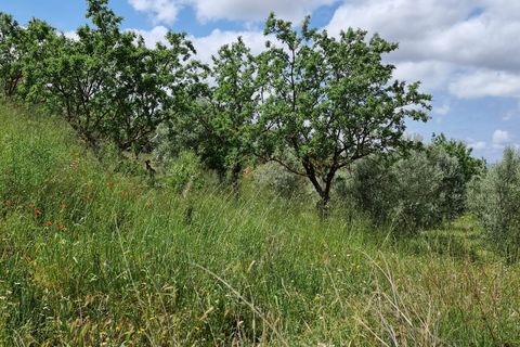 Finca i Tivissa, Tarragona, Tivissa - € 165.000 | Ref: Tml - foto 21