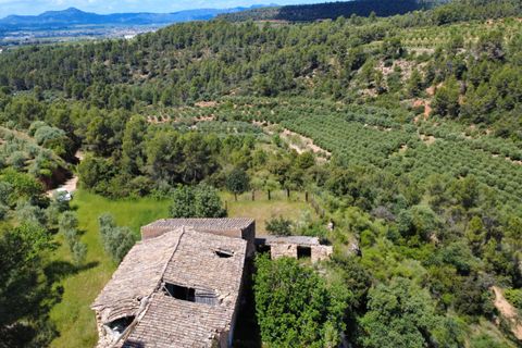 Finca i Tivissa, Tarragona, Tivissa - € 165.000 | Ref: Tml - foto 33