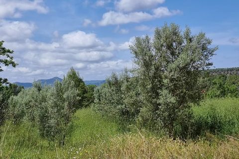 Finca i Tivissa, Tarragona, Tivissa - € 165.000 | Ref: Tml - foto 26