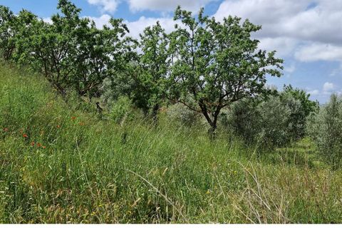Finca i Tivissa, Tarragona, Tivissa - € 165.000 | Ref: Tml - foto 6
