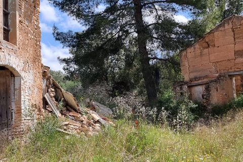 Finca i Tivissa, Tarragona, Tivissa - € 165.000 | Ref: Tml - foto 23