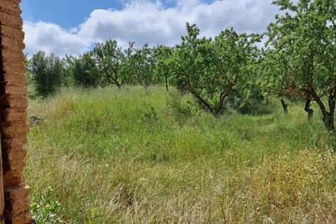 Finca i Tivissa, Tarragona, Tivissa - € 165.000 | Ref: Tml - foto 24