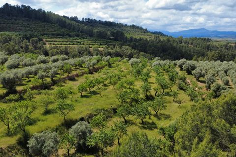 Finca i Tivissa, Tarragona, Tivissa - € 165.000 | Ref: Tml - foto 31