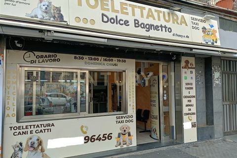 Erhvervsejendom i Catania, Catania, Catania - € 29.000 | Ref: 05-029 - foto 2