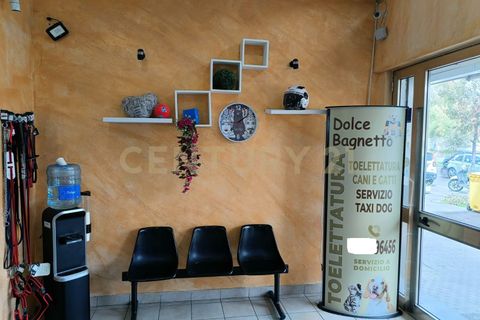 Erhvervsejendom i Catania, Catania, Catania - € 29.000 | Ref: 05-029 - foto 5
