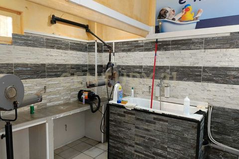 Erhvervsejendom i Catania, Catania, Catania - € 29.000 | Ref: 05-029 - foto 9