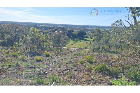 Terra a Palhais, Setubal, Palhais - € 165.000 | Ref: D-21 - foto 2