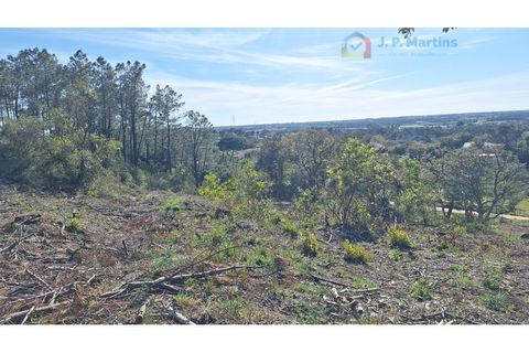 Terra a Palhais, Setubal, Palhais - € 165.000 | Ref: D-21 - foto 3