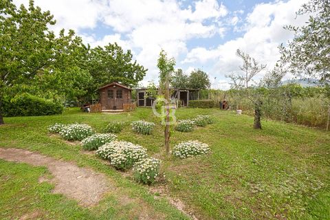Villa a Viterbo, Viterbo, Viterbo - € 639.000 | Ref: CBI006-9-332939 - foto 12