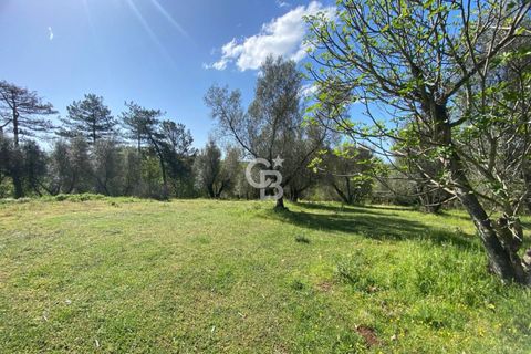 Terra a Vetralla, Viterbo, Vetralla - € 75.000 | Ref: CBI006-960-333082 - foto 9