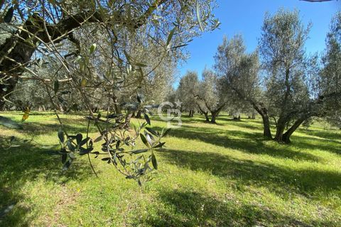 Terra a Vetralla, Viterbo, Vetralla - € 75.000 | Ref: CBI006-960-333082 - foto 10