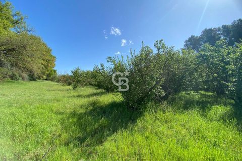 Terra a Vetralla, Viterbo, Vetralla - € 75.000 | Ref: CBI006-960-333082 - foto 13