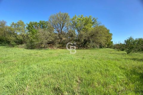 Terra a Vetralla, Viterbo, Vetralla - € 75.000 | Ref: CBI006-960-333082 - foto 14