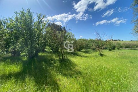 Terra a Vetralla, Viterbo, Vetralla - € 75.000 | Ref: CBI006-960-333082 - foto 15
