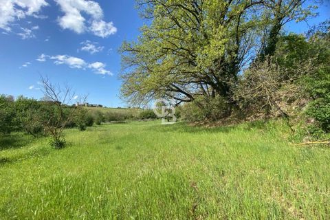 Terra a Vetralla, Viterbo, Vetralla - € 75.000 | Ref: CBI006-960-333082 - foto 16