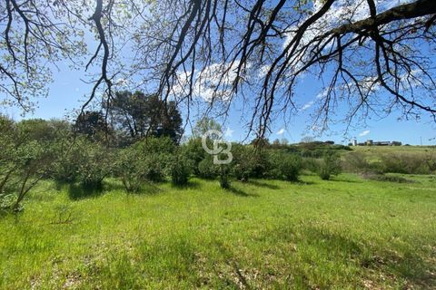Terra a Vetralla, Viterbo, Vetralla - € 75.000 | Ref: CBI006-960-333082 - foto 18