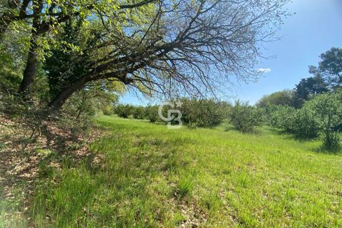 Terra a Vetralla, Viterbo, Vetralla - € 75.000 | Ref: CBI006-960-333082 - foto 19