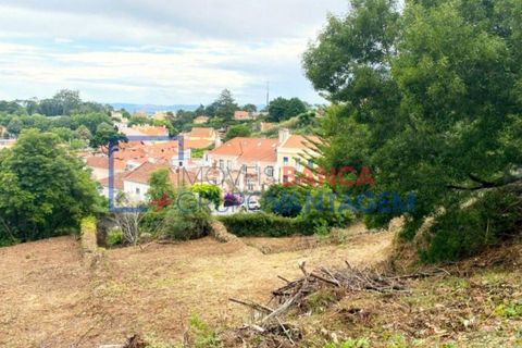 Helårsgrund i Sintra, Lisbon, Sintra - € 1.300.000 | Ref: T-30576 - foto 2