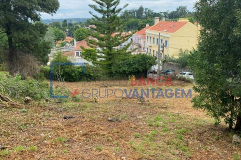 Helårsgrund i Sintra, Lisbon, Sintra - € 1.300.000 | Ref: T-30576 - foto 3