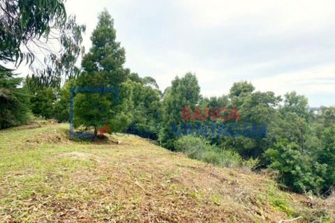 Helårsgrund i Sintra, Lisbon, Sintra - € 1.300.000 | Ref: T-30576 - foto 6