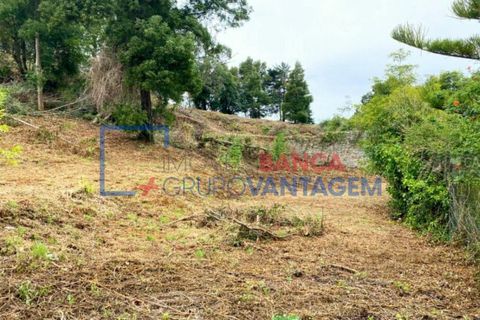 Helårsgrund i Sintra, Lisbon, Sintra - € 1.300.000 | Ref: T-30576 - foto 7
