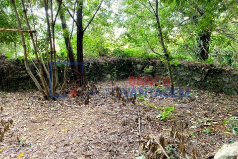 Helårsgrund i Sintra, Lisbon, Sintra - € 1.300.000 | Ref: T-30576 - foto 8